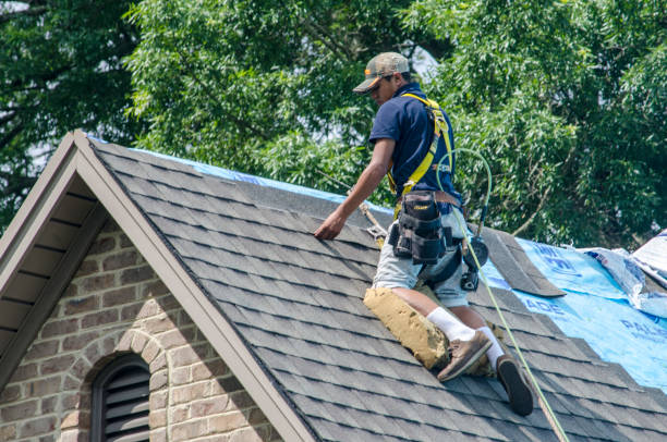 Roof Gutter Cleaning in Homestead Meadows South, TX